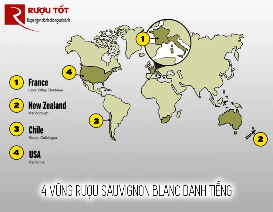 ruou sauvignon blanc