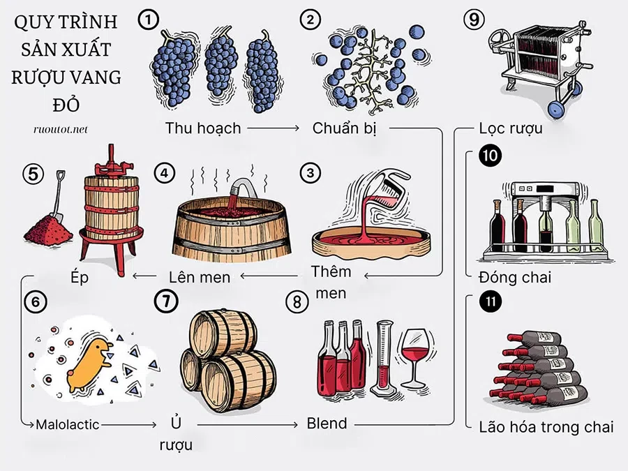 Quy trình sản xuất rượu vang đỏ