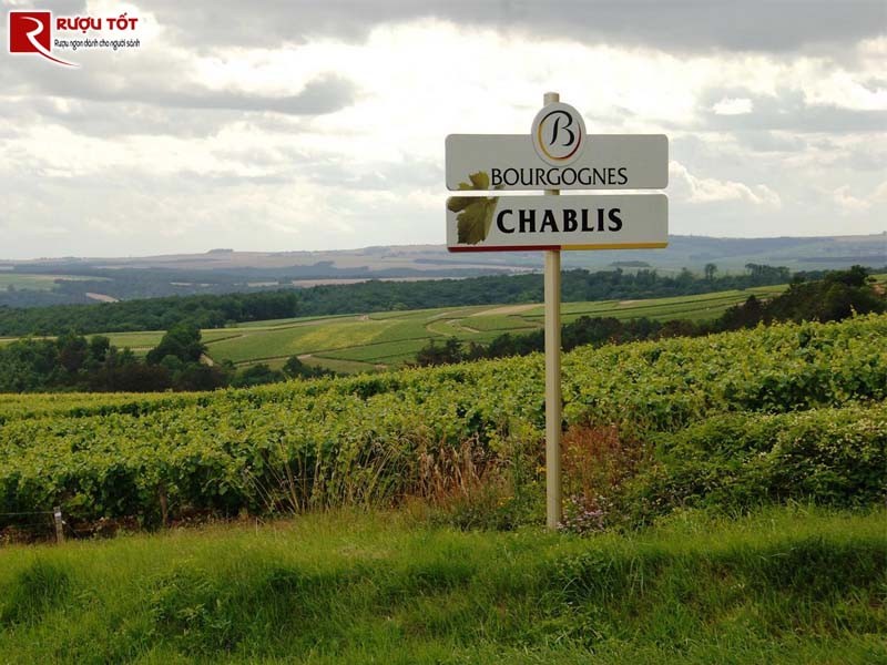 Vang Chablis hao hang