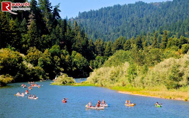 vung Russian River Valley