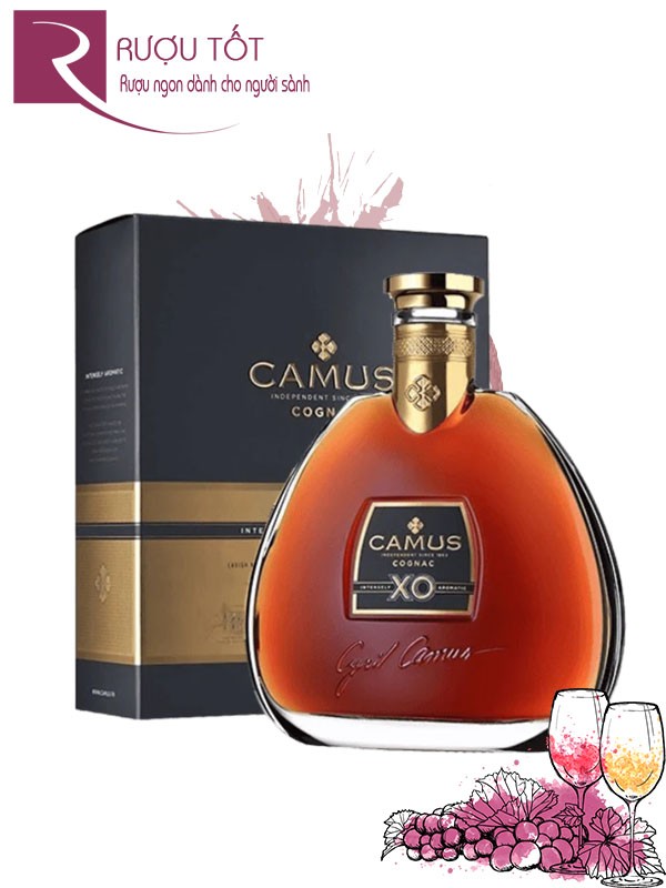 Rượu Camus XO Cognac