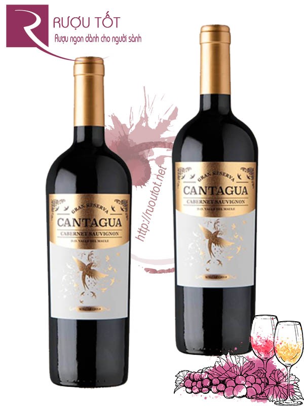 Rượu vang Cantagua Gran Reserva Cabernet Sauvignon