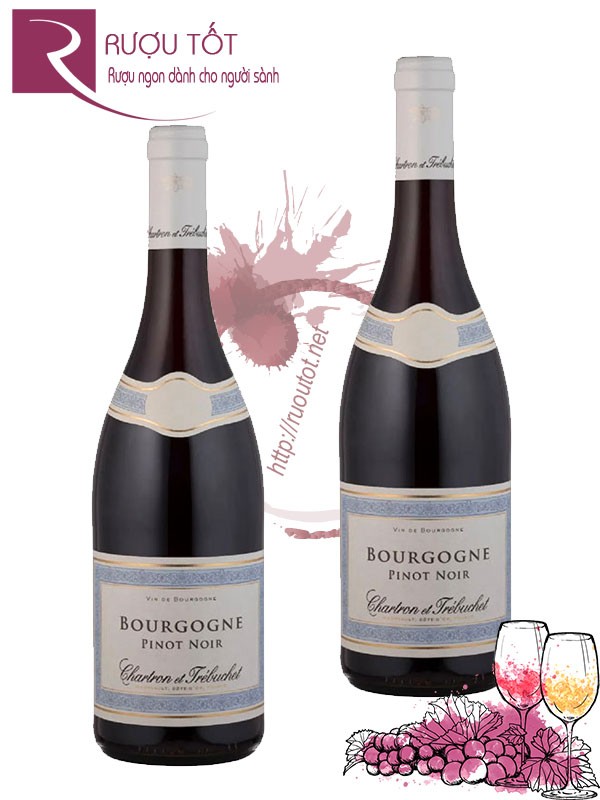 Rượu vang Chartron et Trebuchet Bourgogne Pinot Noir