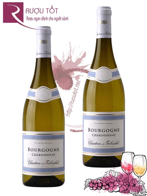 Rượu vang Chartron et Trebuchet Bourgogne Chardonnay