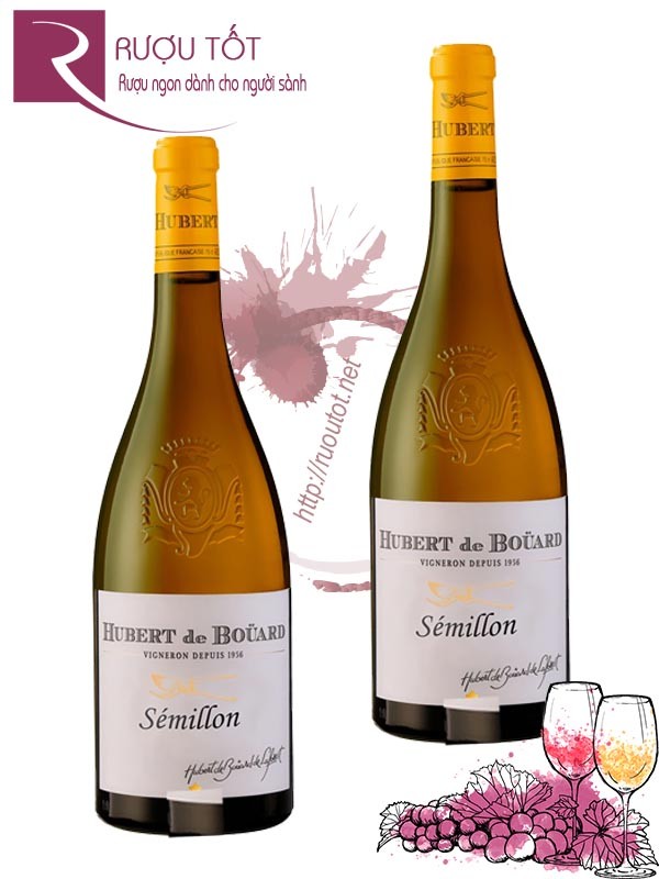 Rượu vang Hubert De Bouard Semillon