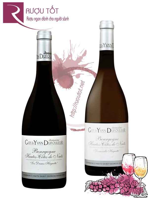 Rượu Vang Bourgogne Hautes Cotes de Nuits Les Dames Huguettes/Demoiselle Huguette