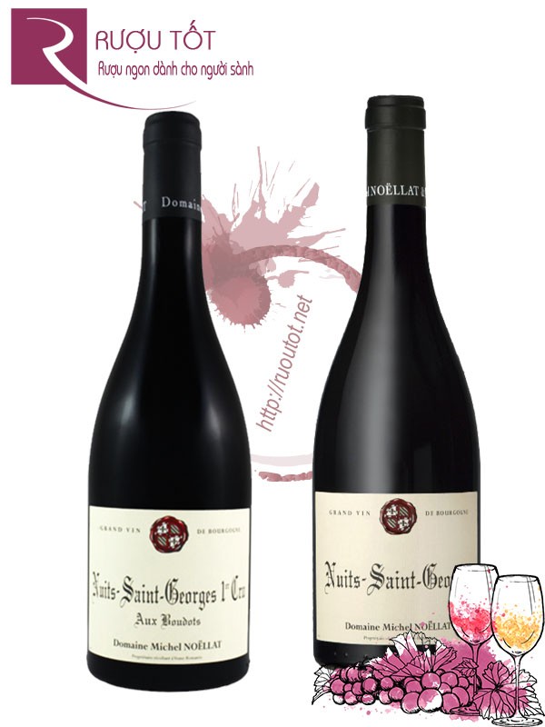 Rượu vang Nuits Saint George 1er Cru Domaine Michel Noellat