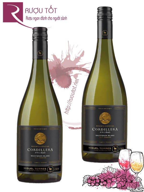 Vang Chile Cordillera Miguel Torres Sauvignon Blanc Hảo hạng