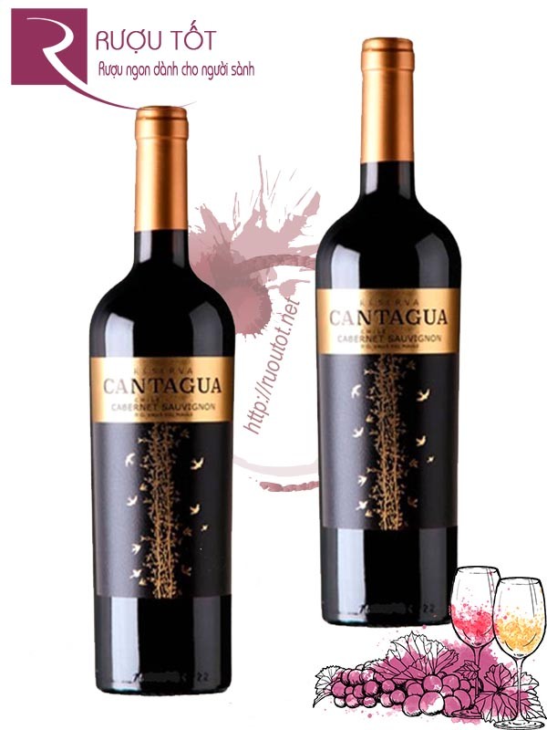 Rượu vang Cantagua Reserva Cabernet Sauvignon