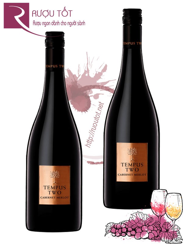 Rượu Vang Tempus Two Copper Series Cabernet Merlot