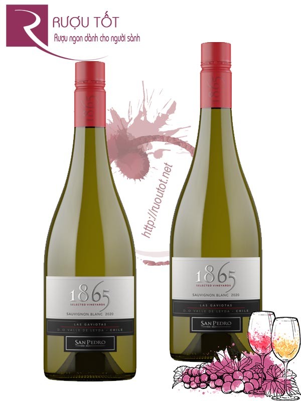 Vang Chile 1865 Selected Vineyard Sauvignon Blanc