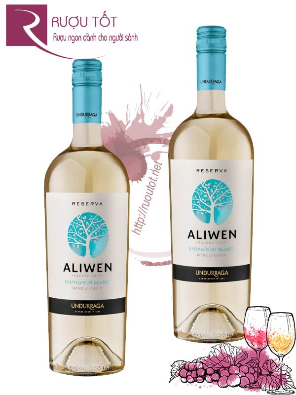 Vang Chile Aliwen Reserva Sauvignon Blanc