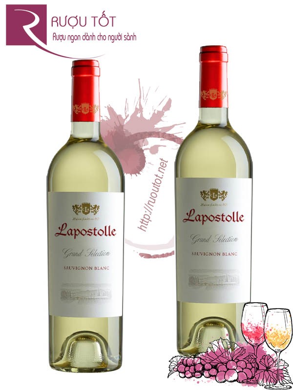 Vang Chile Lapostolle Sauvignon Blanc