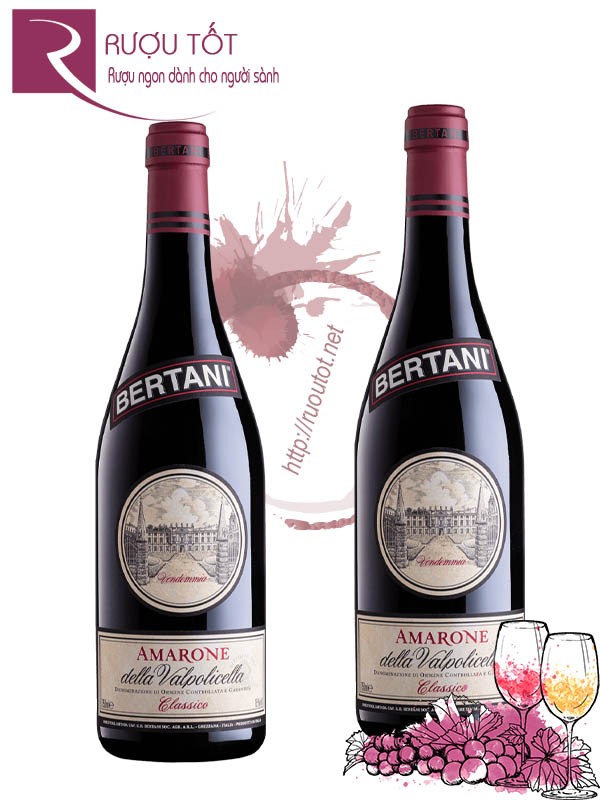 Vang Ý Bertani Amarone della Valpolicella Classico