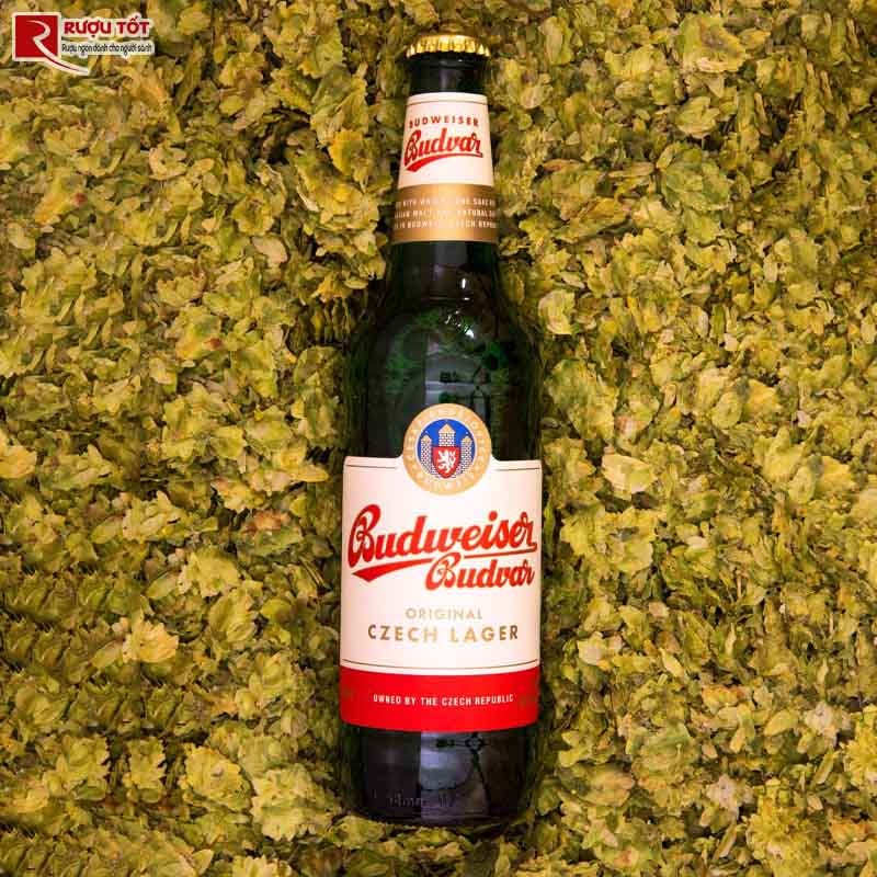 Bia Budweiser cao cấp