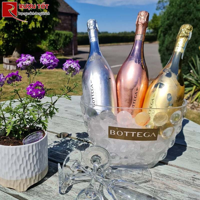 Champagne Bottega