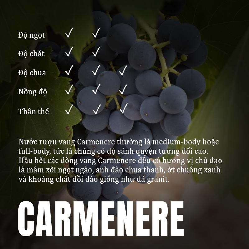 carmenere