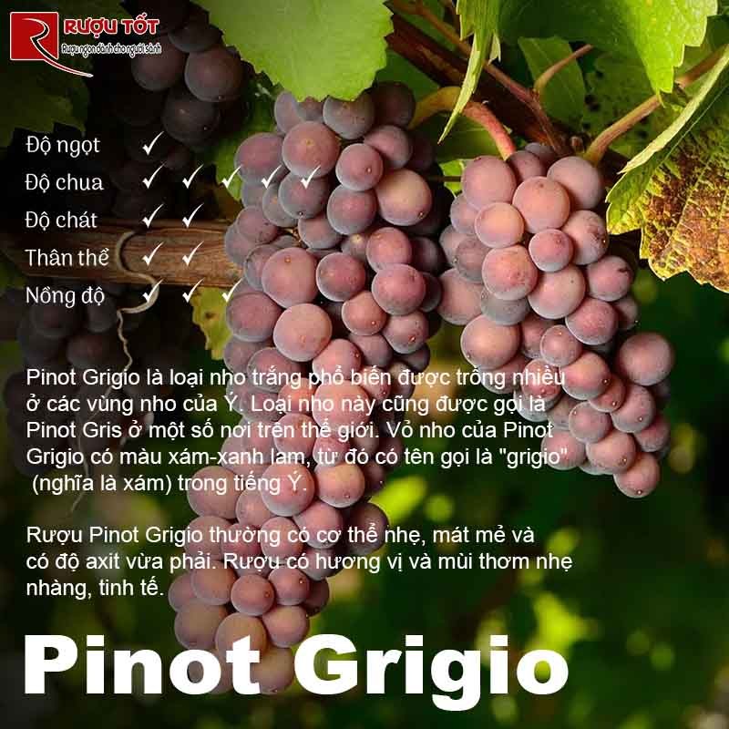 Pinot Grigio