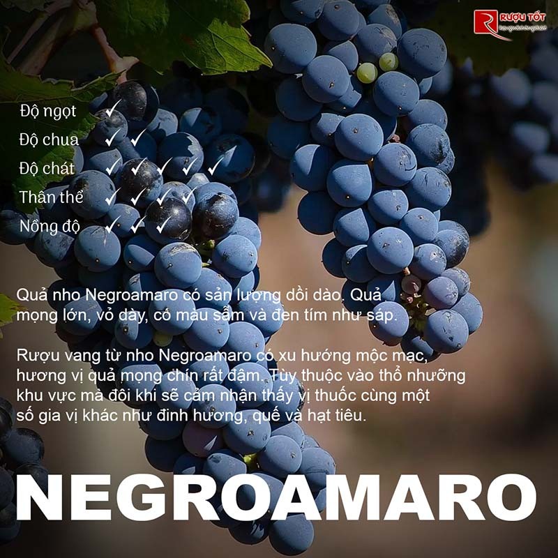 Rượu Negroamaro giá tốt