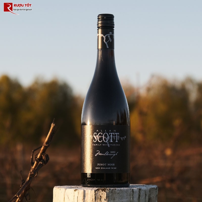 Vang đỏ Allan Scott Pinot Noir