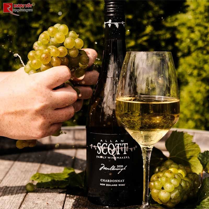 Vang trắng Allan Scott Chardonnay