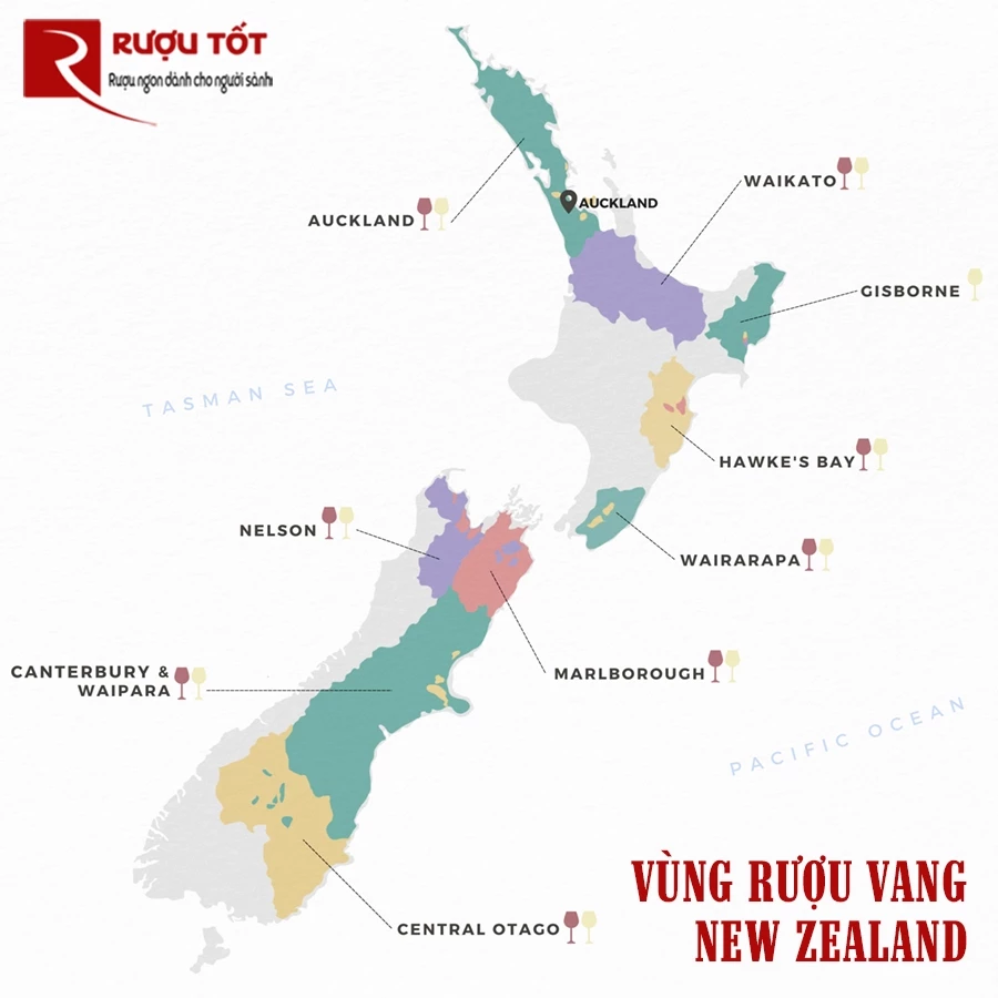 Vung ruou vang New Zealand