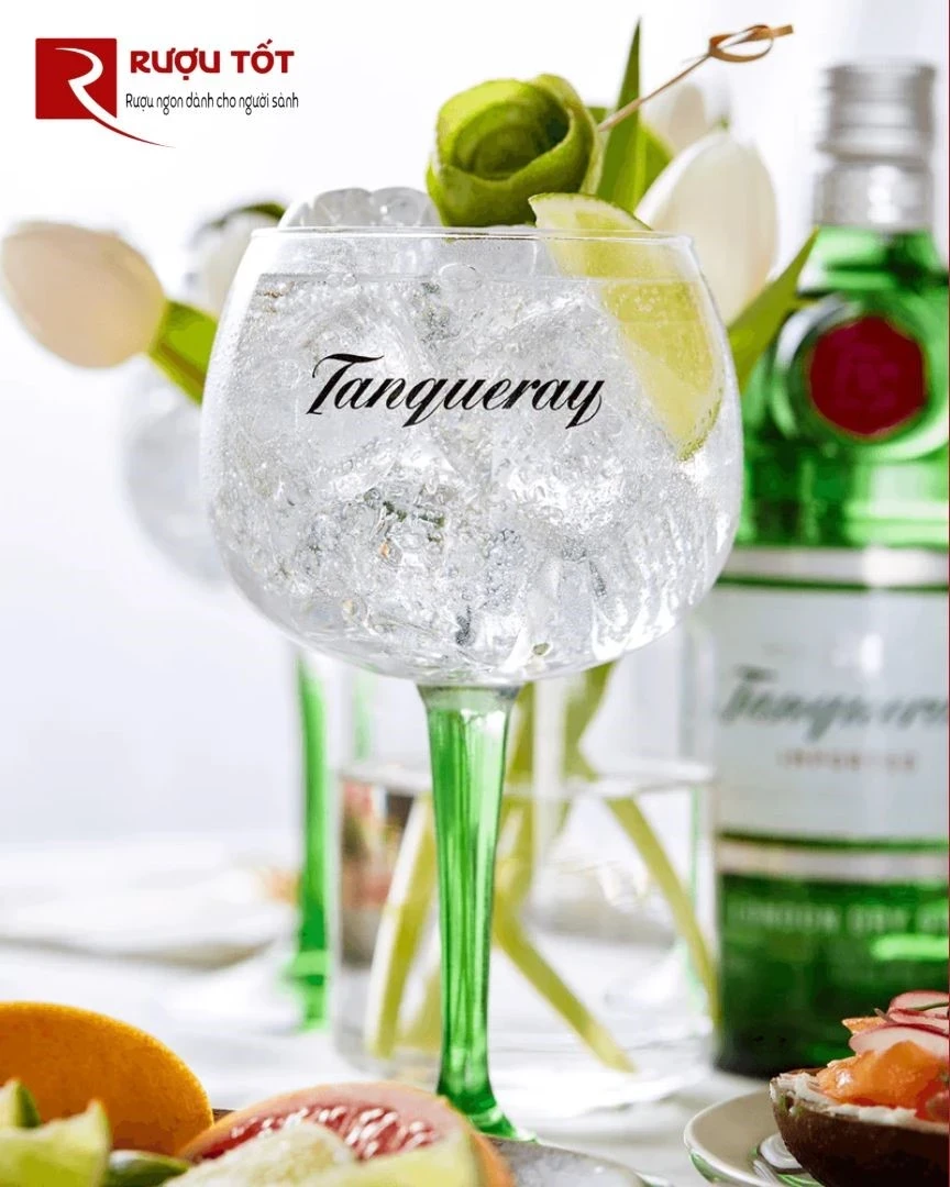 Tanqueray London Dry Gin and Tonic