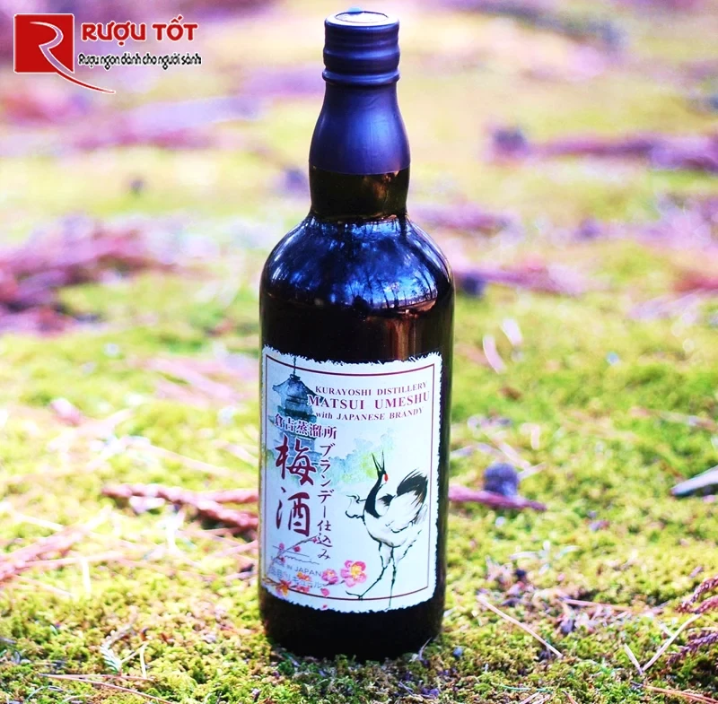 Rượu mạnh Matsui Brandy Umeshu