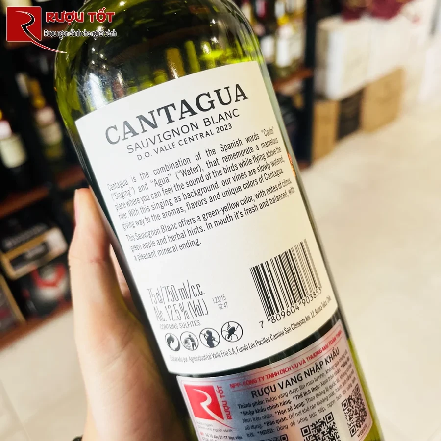 Cantagua sauvignon Blanc gia re