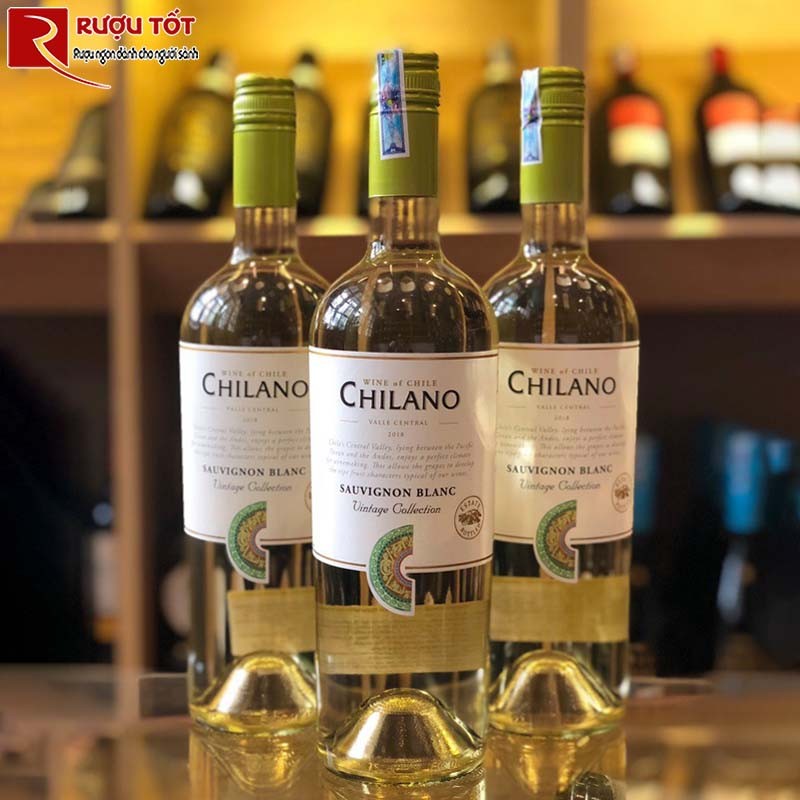 Chilano Sauvignon Blanc