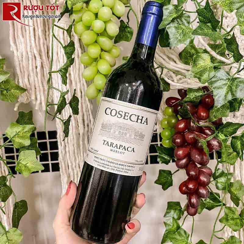 Cosecha Tarapaca Merlot