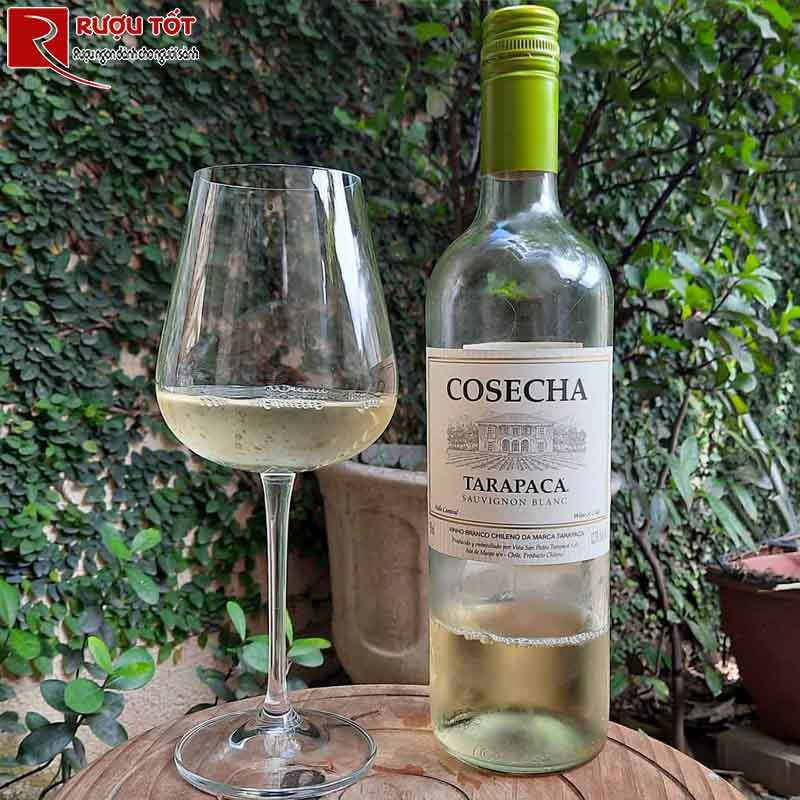 Cosecha Tarapaca Sauvignon Blanc