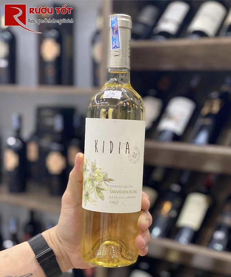 Kidia Cabernet Sauvignon sauvignon blanc