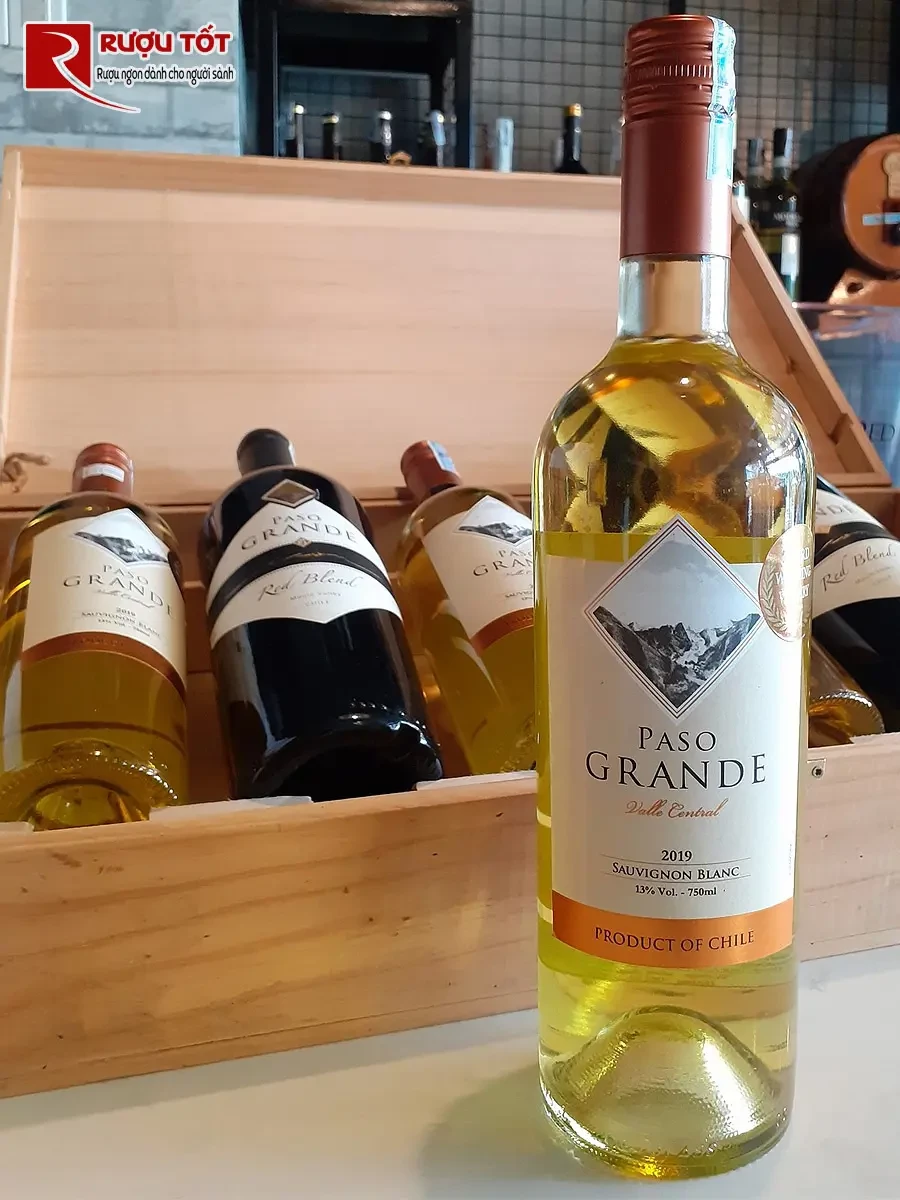 paso grande sauvignon blanc