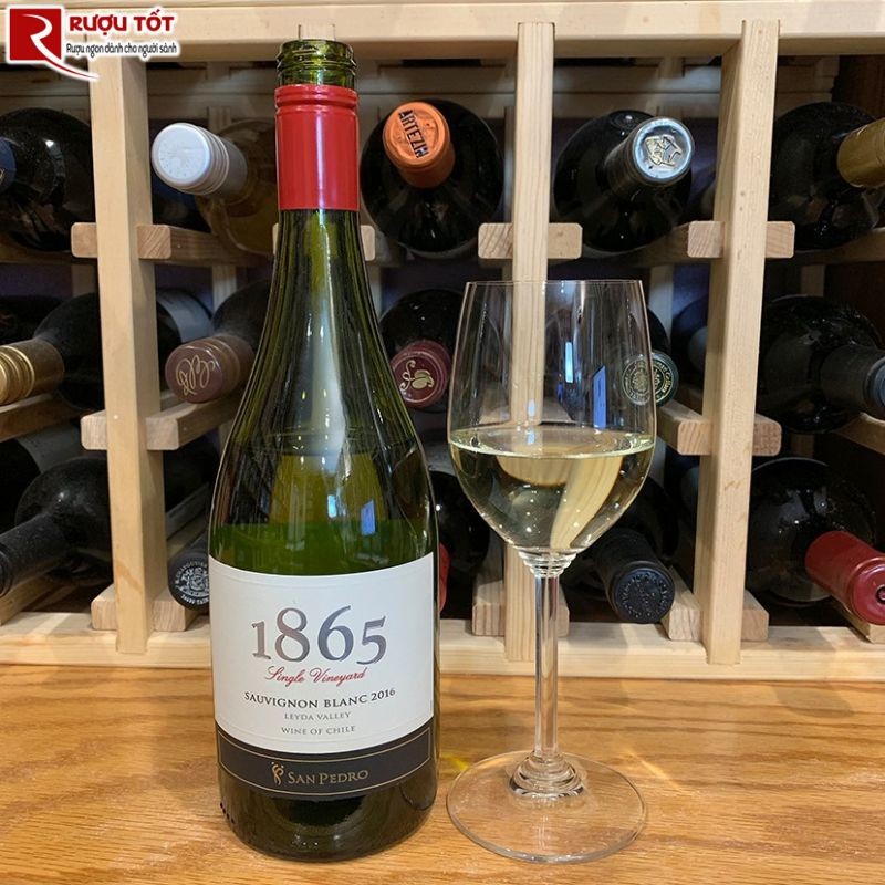 Rượu vang 1865 Single Vineyard Sauvignon Blanc