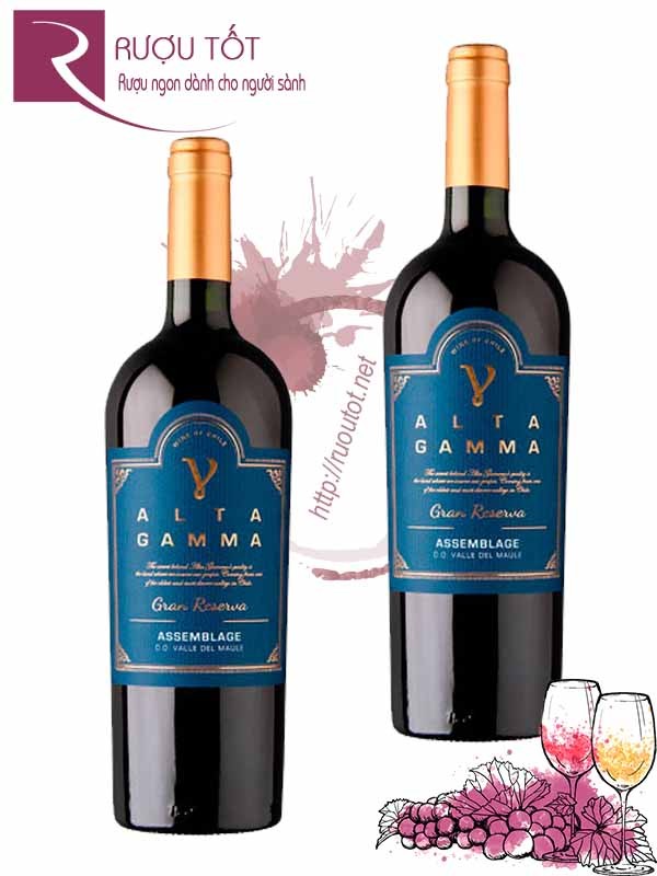 Rượu Vang Gamma Alta Gran Reserva Assemblage