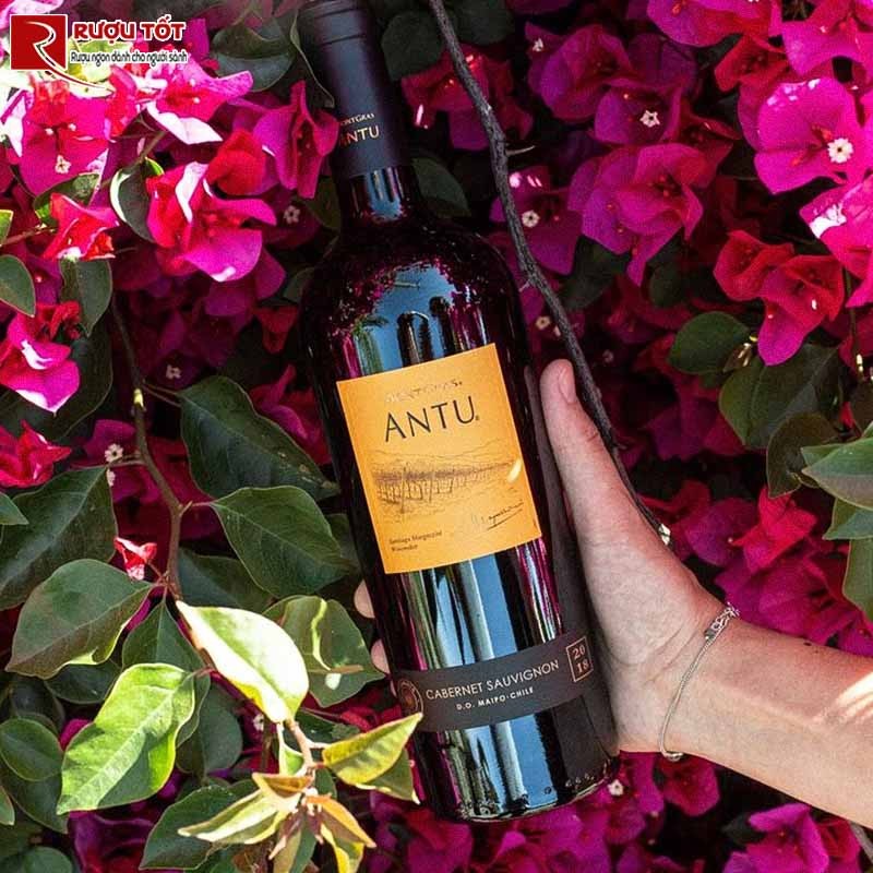 Rượu vang Antu Cabernet Sauvignon