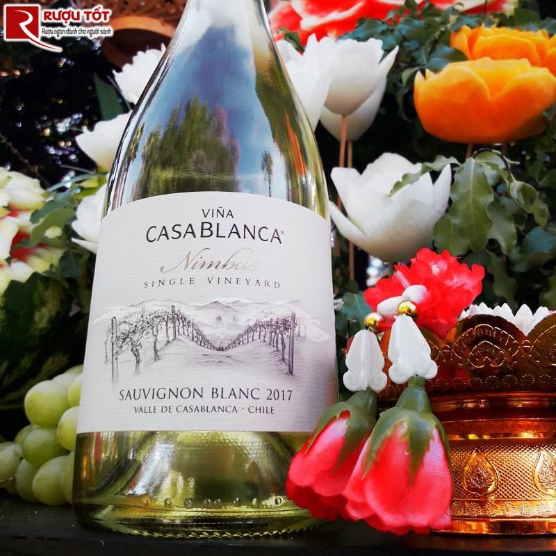 Rượu vang Casablanca Nimbus Sauvignon Blanc