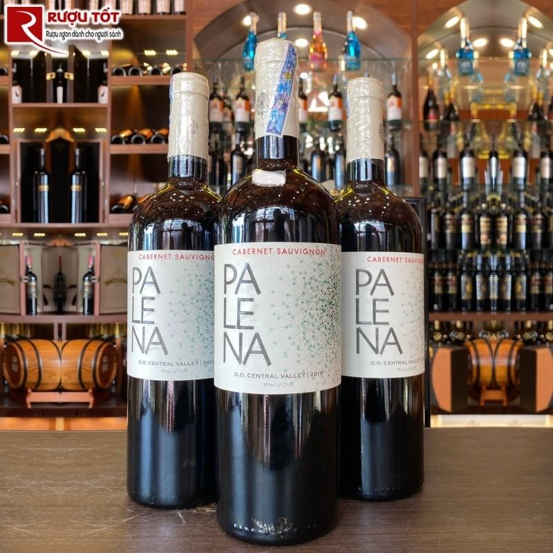 Rượu vang Chile Palena Cabernet Sauvignon