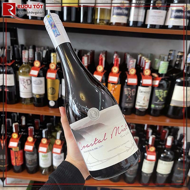 Rượu vang Coastal Mist 13,5% Sauvignon Blanc