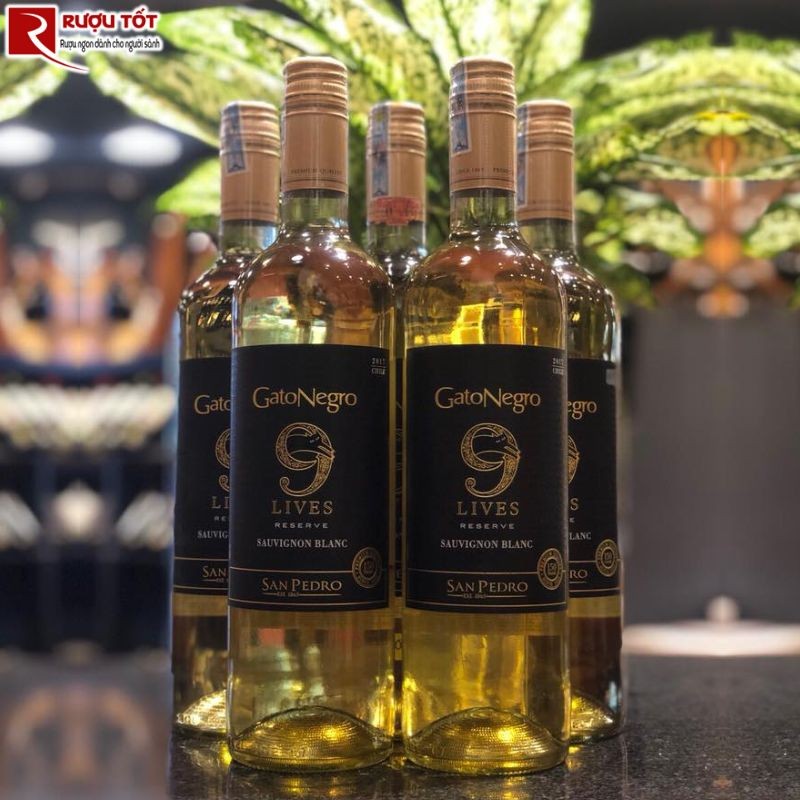 Rượu vang Gato Negro 9 Lives Sauvignon Blanc