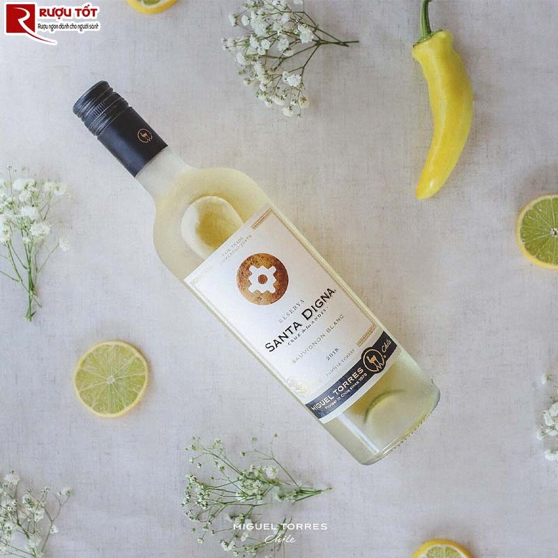 rượu vang Santa Digna Sauvignon Blanc