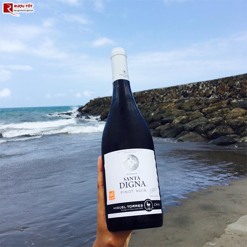 Santa Digna Pinot Noir