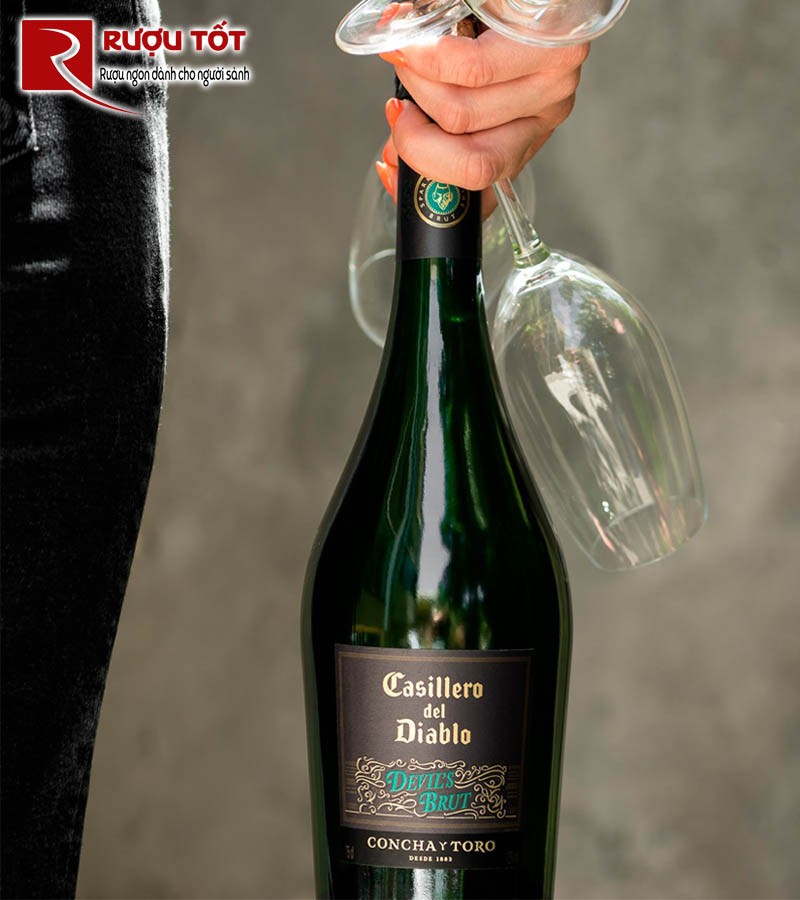 vang Chile Casillero Del Diablo Devil's Brut