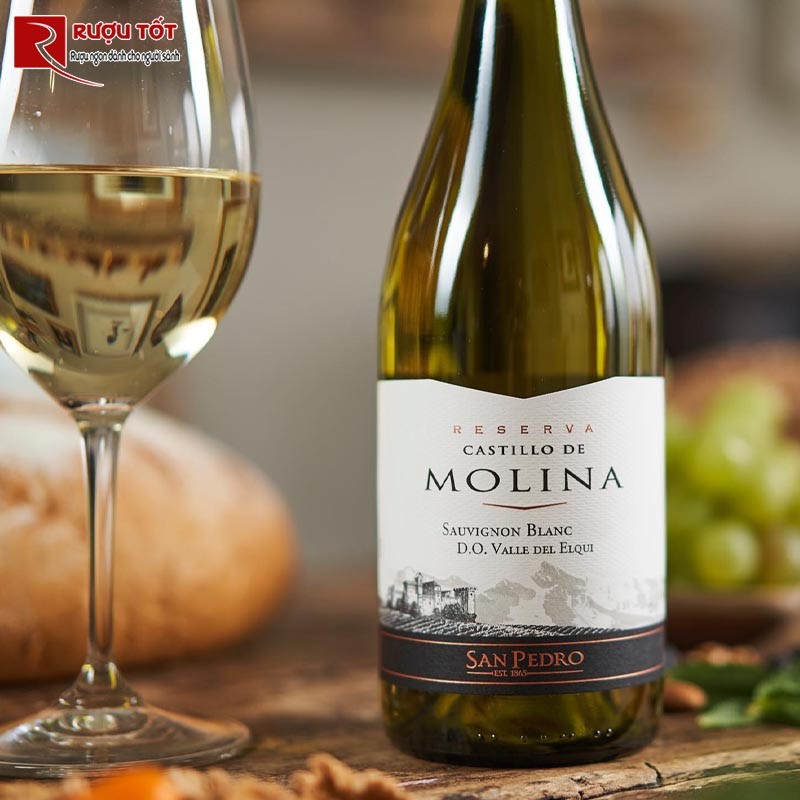 Vang Chile Castillo De Molina Reserva Sauvignon Blanc