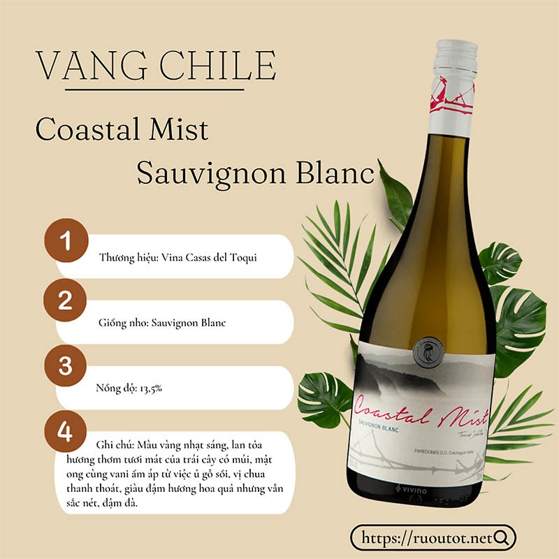 Vang Chile Coastal Mist 13,5% Sauvignon Blanc