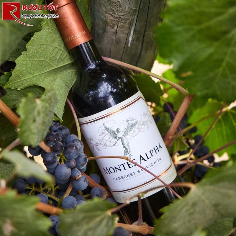 Montes Alpha Cabernet Sauvignon