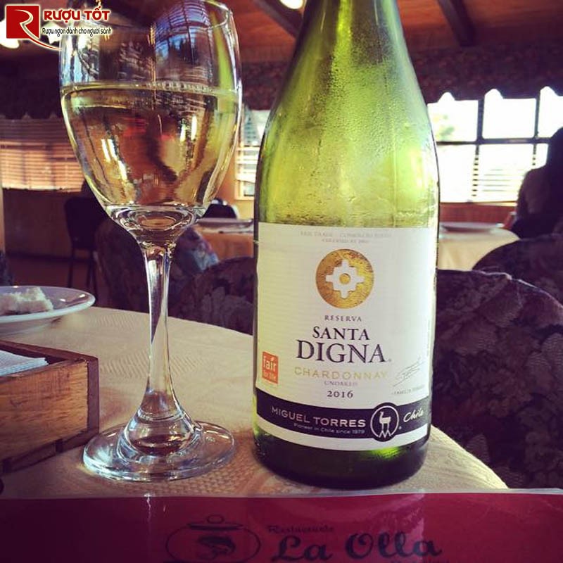 Vang Chile Santa Digna Gewurztraminer