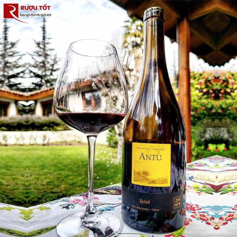 Vang Đỏ Antu Syrah