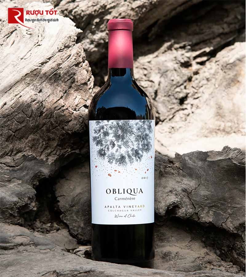 Vang đỏ Obliqua Carmenere 75cl